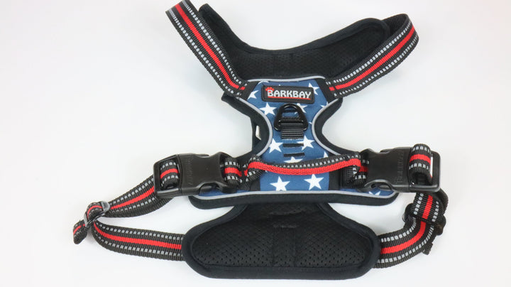 Bark Bay Harness - Gently Traveled (XL)