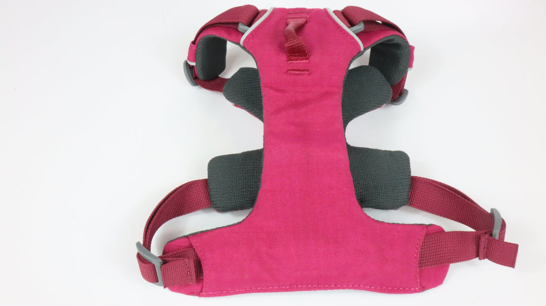 Ruffwear Harness - Newly Traveled (XS)