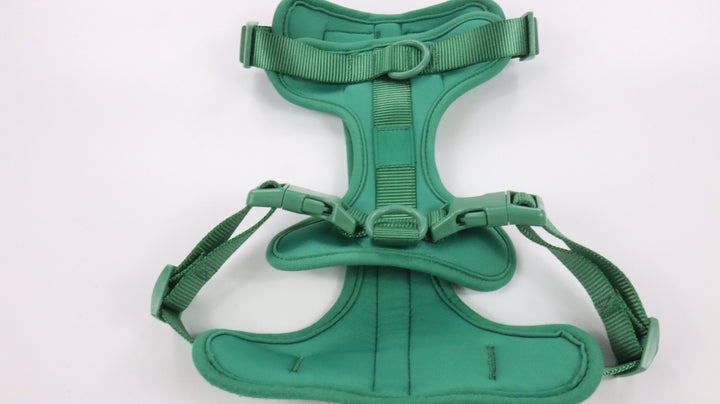 Wild One Harness - Gently Traveled (M)