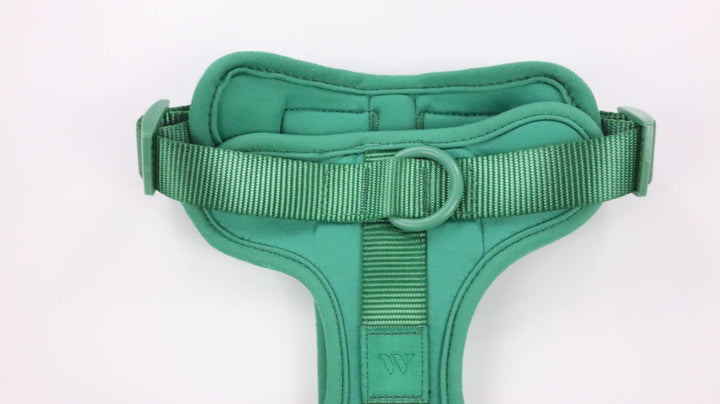 Wild One Harness - Gently Traveled (M)