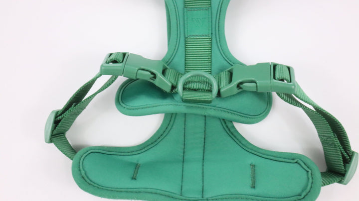 Wild One Harness - Gently Traveled (M)