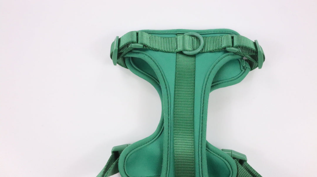 Wild One Harness - Gently Traveled (M)