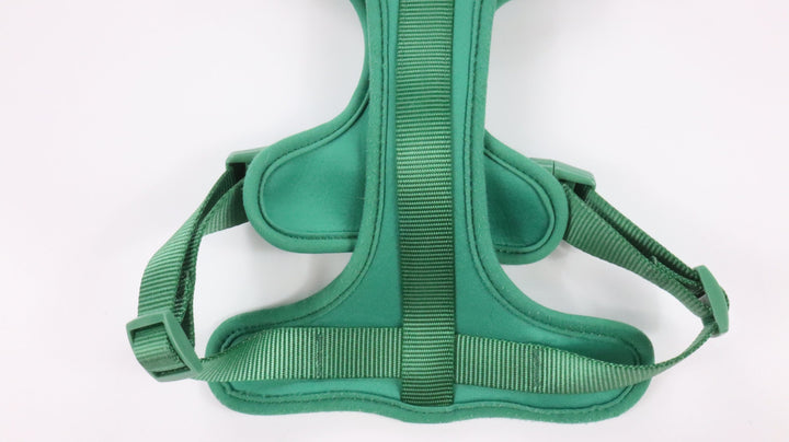 Wild One Harness - Gently Traveled (M)