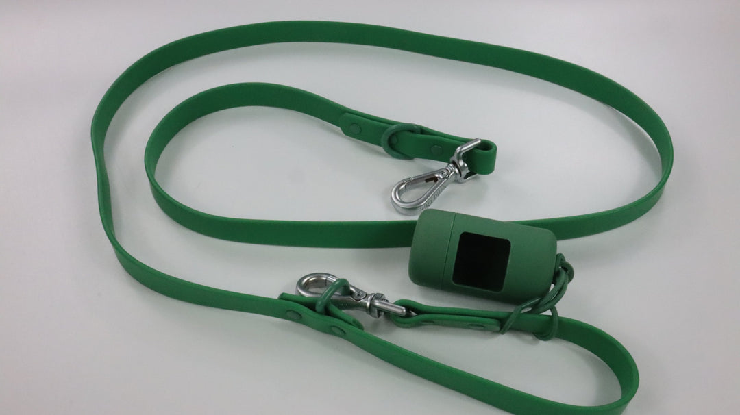 Wild One Leash - Gently Traveled (Regular)