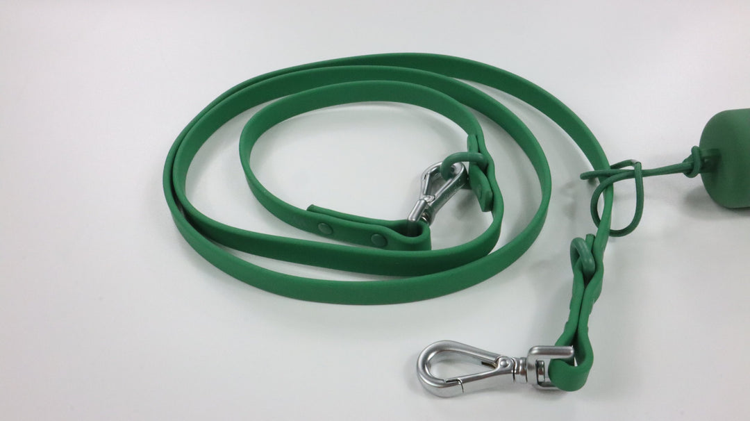 Wild One Leash - Gently Traveled (Small)