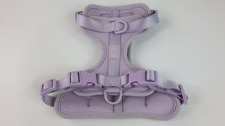 Wild One Harness - Heavily Traveled (S)