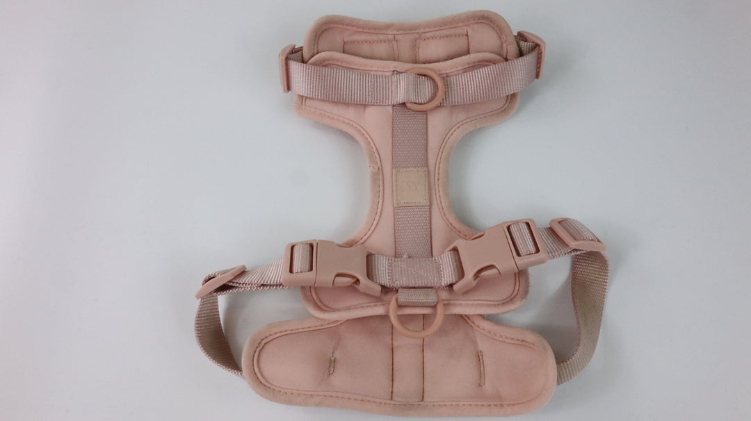 Wild One Harness - Heavily Traveled (M)