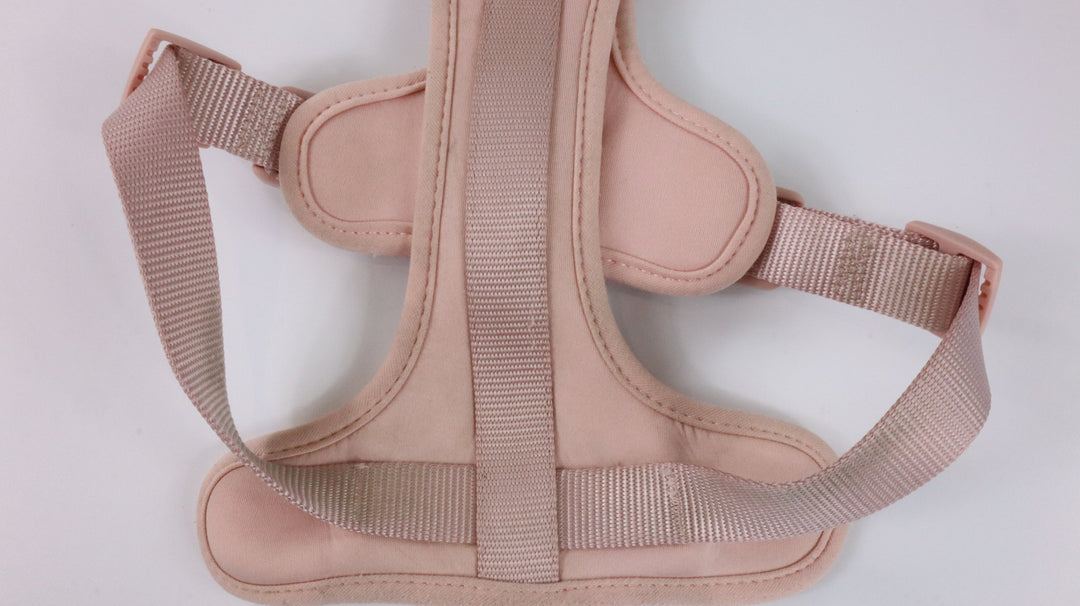 Wild One Harness - Heavily Traveled (M)