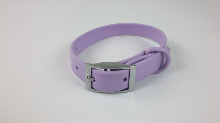 Wild One Collar - Gently Traveled (M)