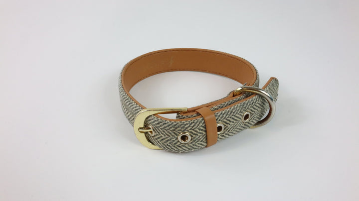 Friendship Collar - Traveled (S)