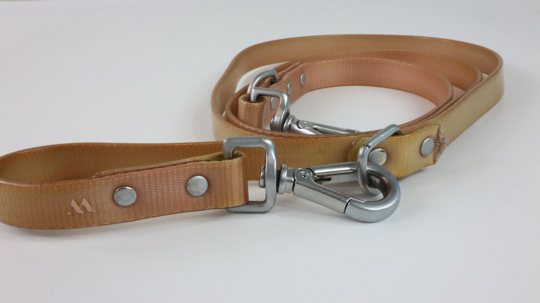 Wild One Leash - Heavily Traveled (Regular)