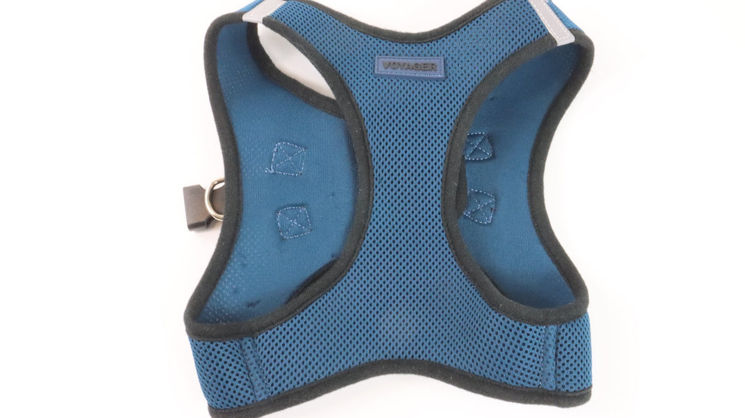 Voyager Harness - Newly Traveled (XL)