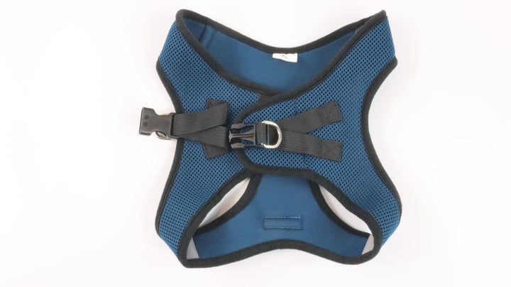 Voyager Harness - Newly Traveled (XL)