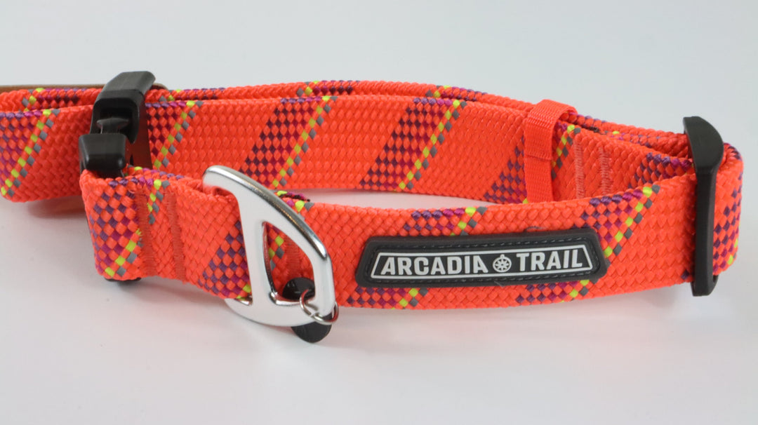 Arcadia Trail Paracord Collar