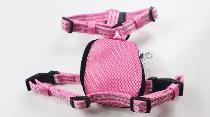 Alcott Adventure Harness - S Pink