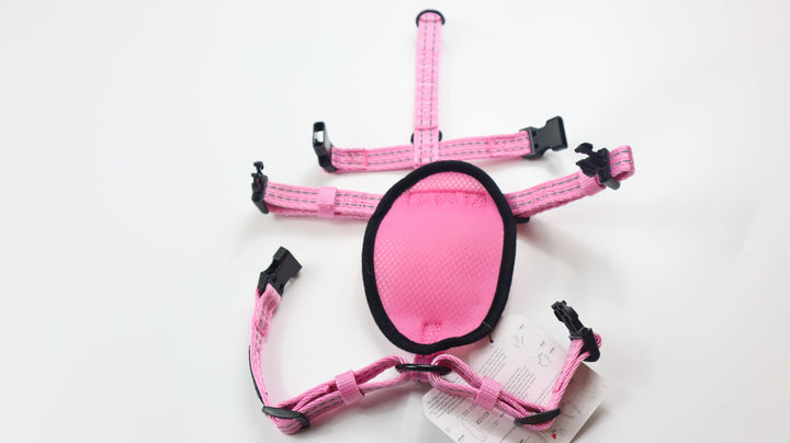 Alcott Adventure Harness - S Pink