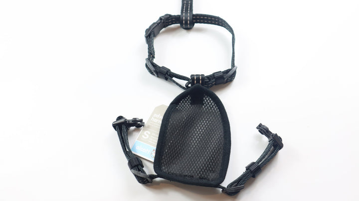 Alcott Adventure Harness - S Black