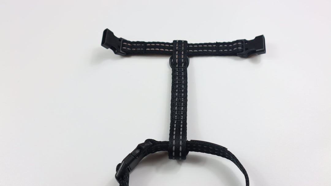 Alcott Adventure Harness - S Black