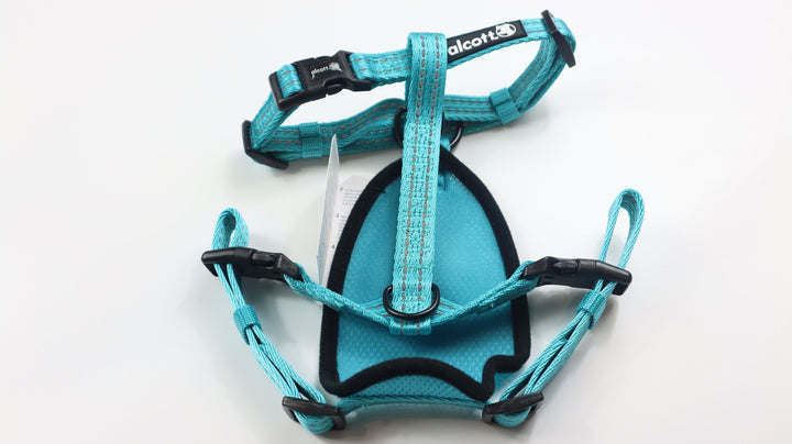 Alcott Adventure Harness - M Teal