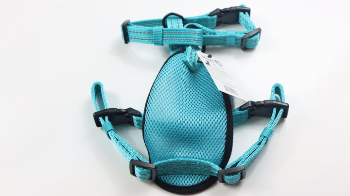 Alcott Adventure Harness - M Teal