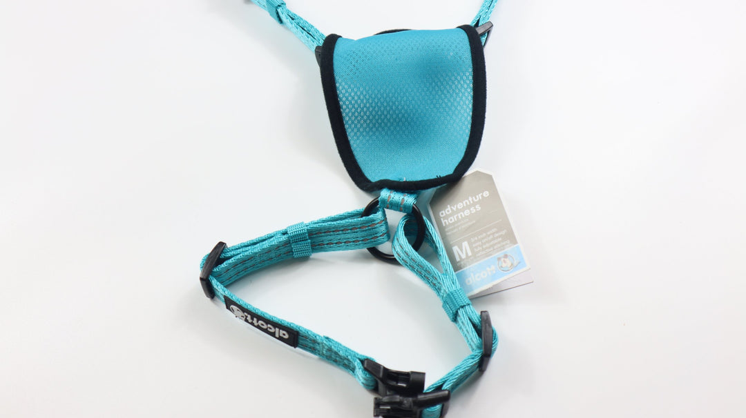 Alcott Adventure Harness - M Teal