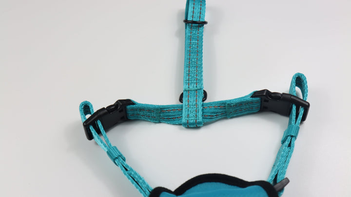 Alcott Adventure Harness - M Teal