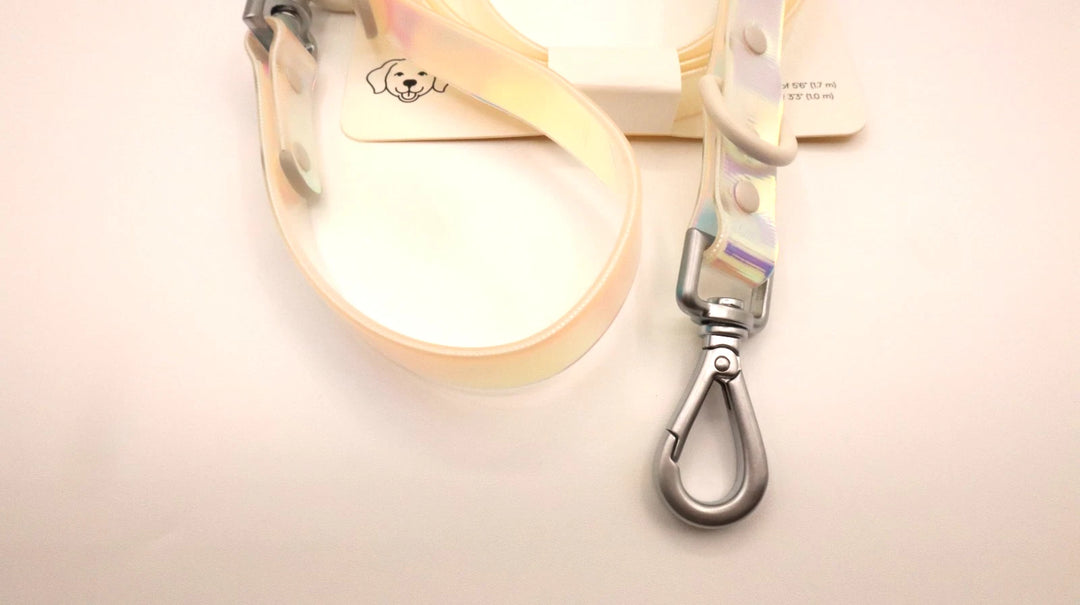 Wild One Holographic White Solar Leash
