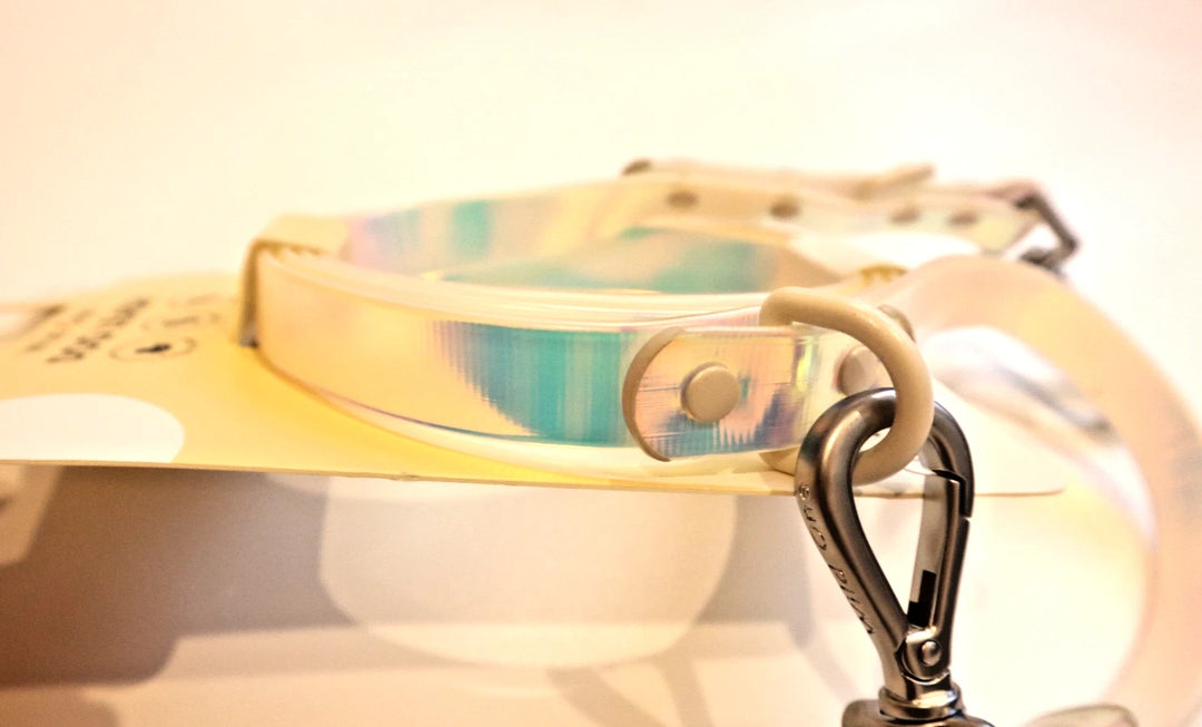Wild One Holographic White Solar Leash