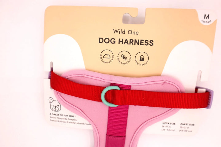 Wild One Harness - Bubblegum Colorblock Medium
