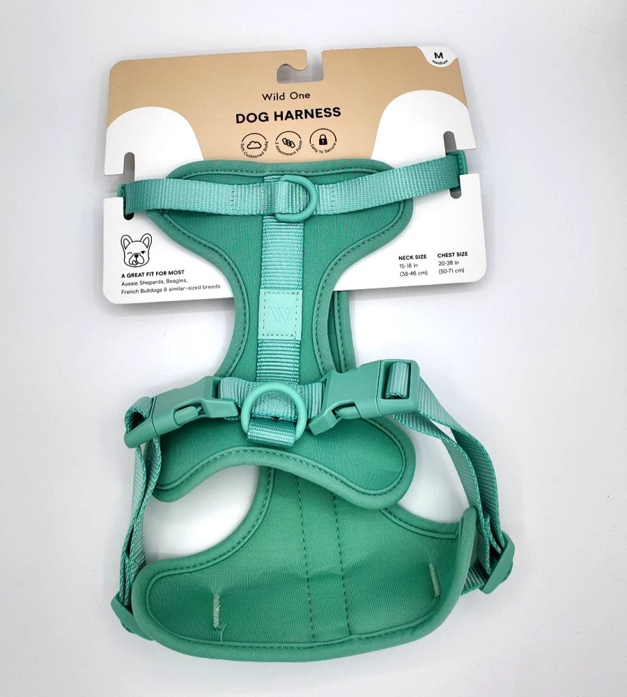 Wild One Harness - Medium Seafoam