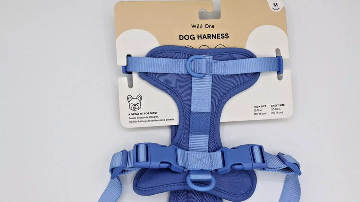 Wild One Harness - Moonstone (M & L)