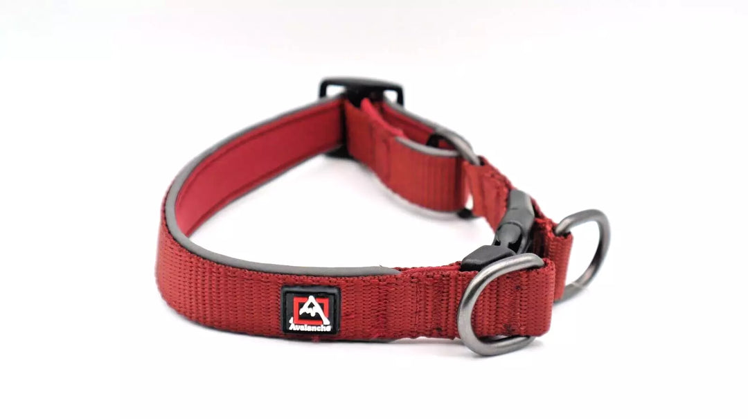 Avalanche Reflective Dog Collar - M (13"-19")