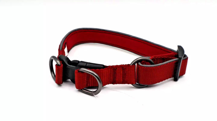 Avalanche Reflective Dog Collar - M (13"-19")