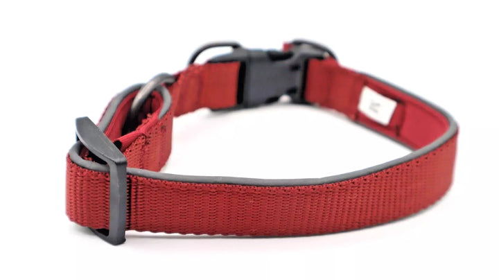 Avalanche Reflective Dog Collar - M (13"-19")